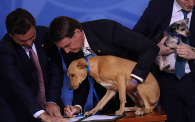 Bolsonaro sanciona lei de proteção a animais e promete corrigir distorção punitiva